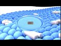 NEW EFFECT Samsung Logo Balls Is Super Duper Low Pitched