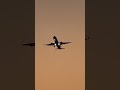 Planespotting Runway 09 Arrivals From Juhu Beach Shorts Planespotting