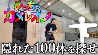 【実写版】100体探せ！家でめっちゃカメレオンやってみた。