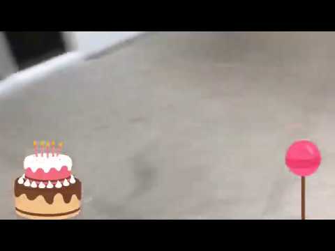 Animal Shelter | i want a kitten 🐱 | it’s my birthday 🎁 7-1-19 💕🎈