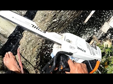 STIHL MS194T first job.