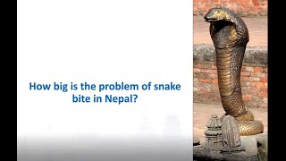 Snakes of Nepal, Clinical Management and Public Health Burden