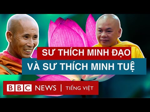 Sư Minh Tuệ Dừng Bước — Những Diễn Biến Mới Nhất