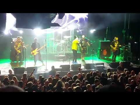 Pidżama Porno - Kotów kat ma oczy zielone. Live, Palladium 18.03.2023