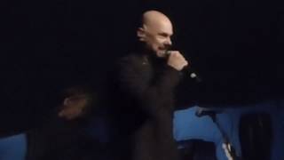 Conception Kopervik 2019 A Virtual Lovstory