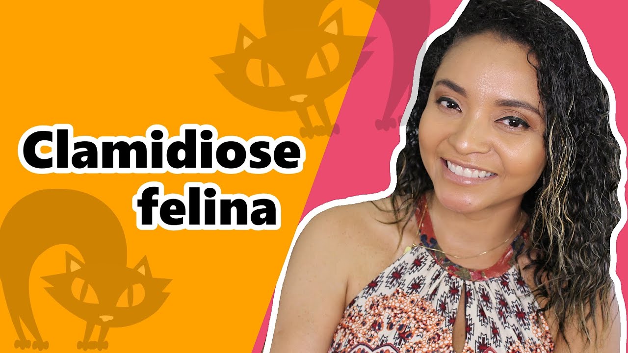 #CLAMIDIOSE FELINA - UMA #CONJUNTIVITE ESPERTA.