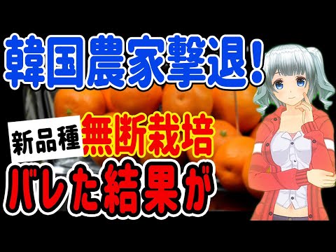 「韓国への制裁はいつ?」金融制裁と同時 ...