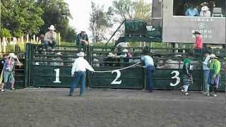 preview picture of video 'Steer riding/Bull riding 6/16'