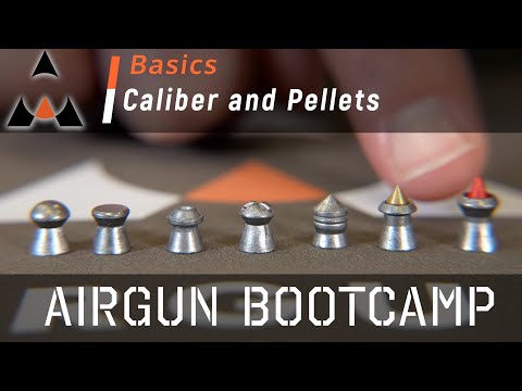 Airgun Pellet Calibers and Types - Airgun Bootcamp