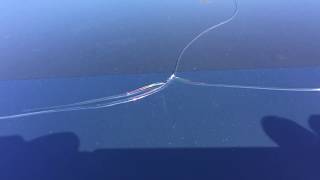 Mysterious Crack on Tesla Model X Falcon Wing Door
