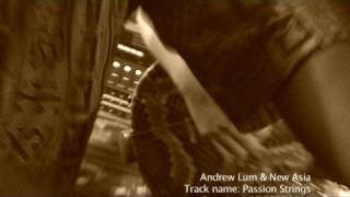 Andrew Lum & New Asia - Passion Strings (Trio Line-Up)