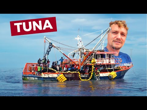 Commercial TUNA FISHING From General Santos, Philippines