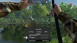 낚시 함 해보까~