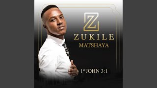 Download lagu Izandla zethu mp3