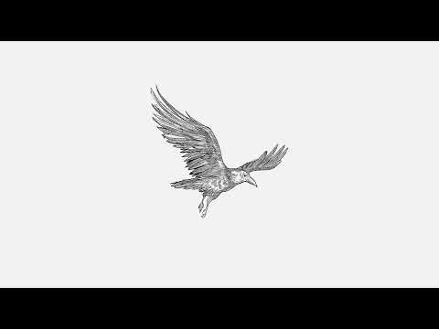 Haju / Złote Twarze - Widok z góry