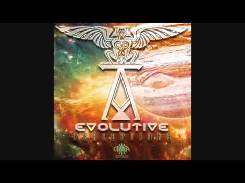 Cosmic Dimension - The Dark Matter