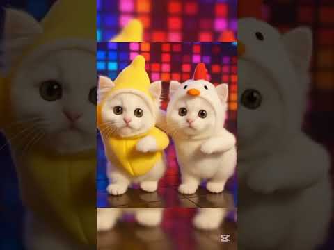 Chicken banana edit 🍌🍗#cocoloco #cat #cockapoo #youtube #youtubeshorts #viralvideo #viralshort