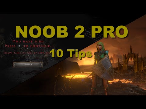 10 Tips to go from Noob to Pro | D2R | TheYeahPete
