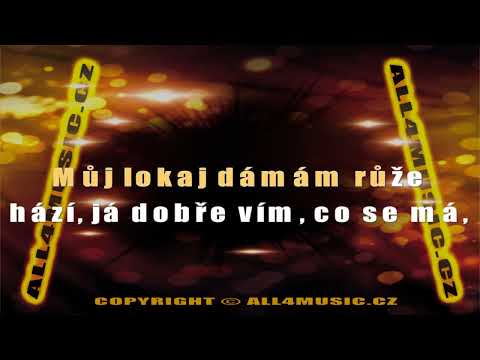 KJ0374 SPÁLENÝ PETR-Dáma při těle (Karaoke verze)