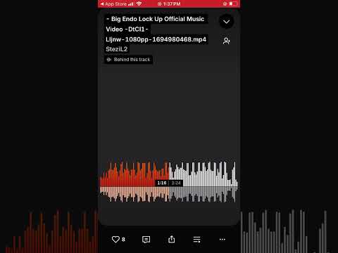 Big Endo ~ Locked Up