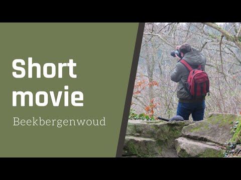 Short movie Beekbergerwoud Natuurgebied