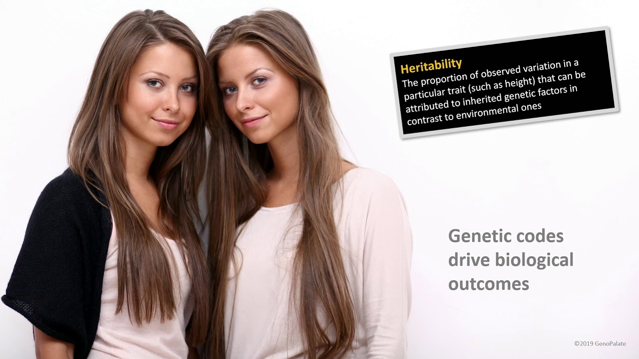 Sks 2019: Eat For Your Genes