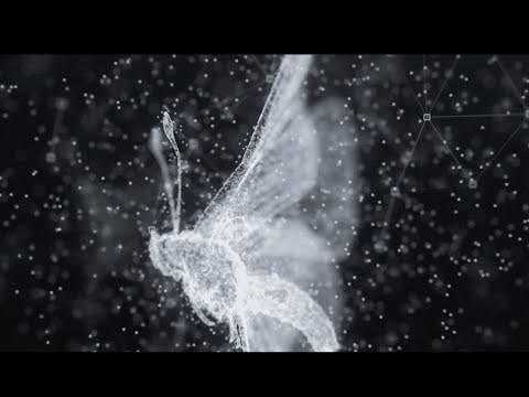 TIAB - 蝴蝶效應 [Official Lyrics Music Video]