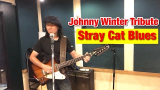 Stray Cat Blues (Johnny Winter Tribute)