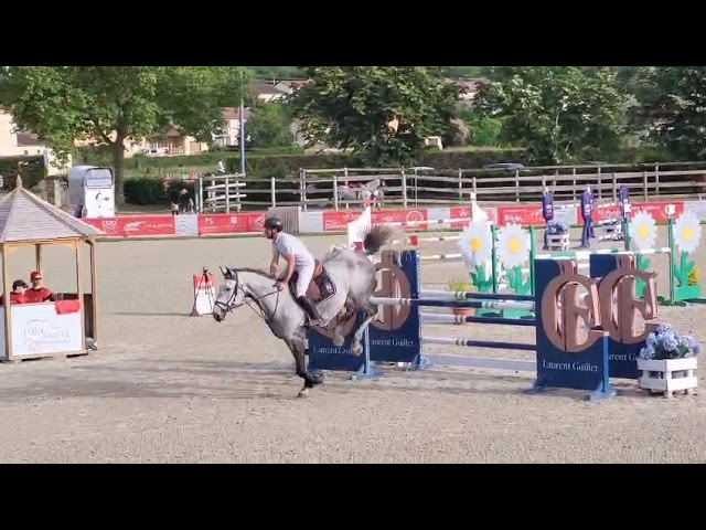 Jument de 6 ans sbs par couleur latour