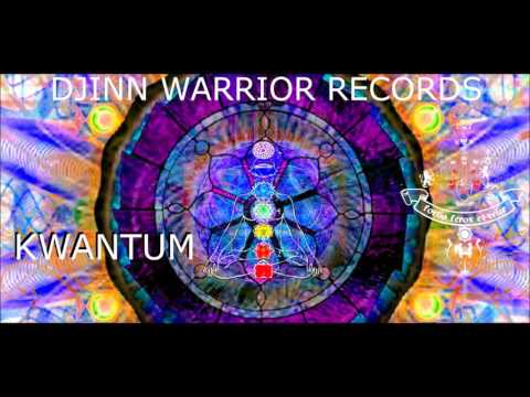 GREAT COSMIC MOTHER   ANNON AMISS   KWANTUM REMIX 2X13