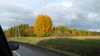 Kohti kotia sinne matka käy ( Myös sanat )