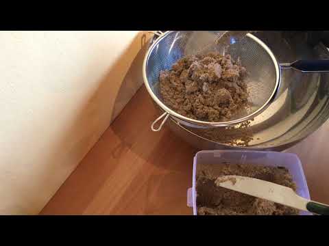 Wanderheuschrecken züchten Teil 3: Eier auslösen