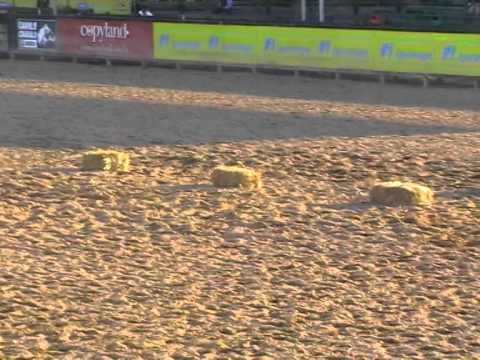 Finalista freio de ouro aspirante 2011