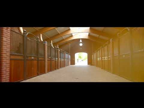 Intro Video Hengstenstation van Uytert