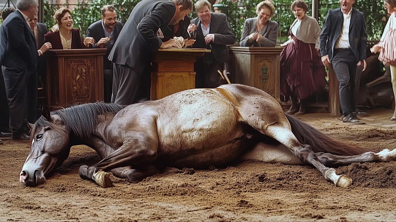 Mann kaufte ein abgelehntes Pferd bei einer Auktion—Was danach geschah, schockierte alle!