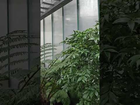 liberec botanical gardens #botanical #botanicalgarden #czechrepublic #liberec #prague