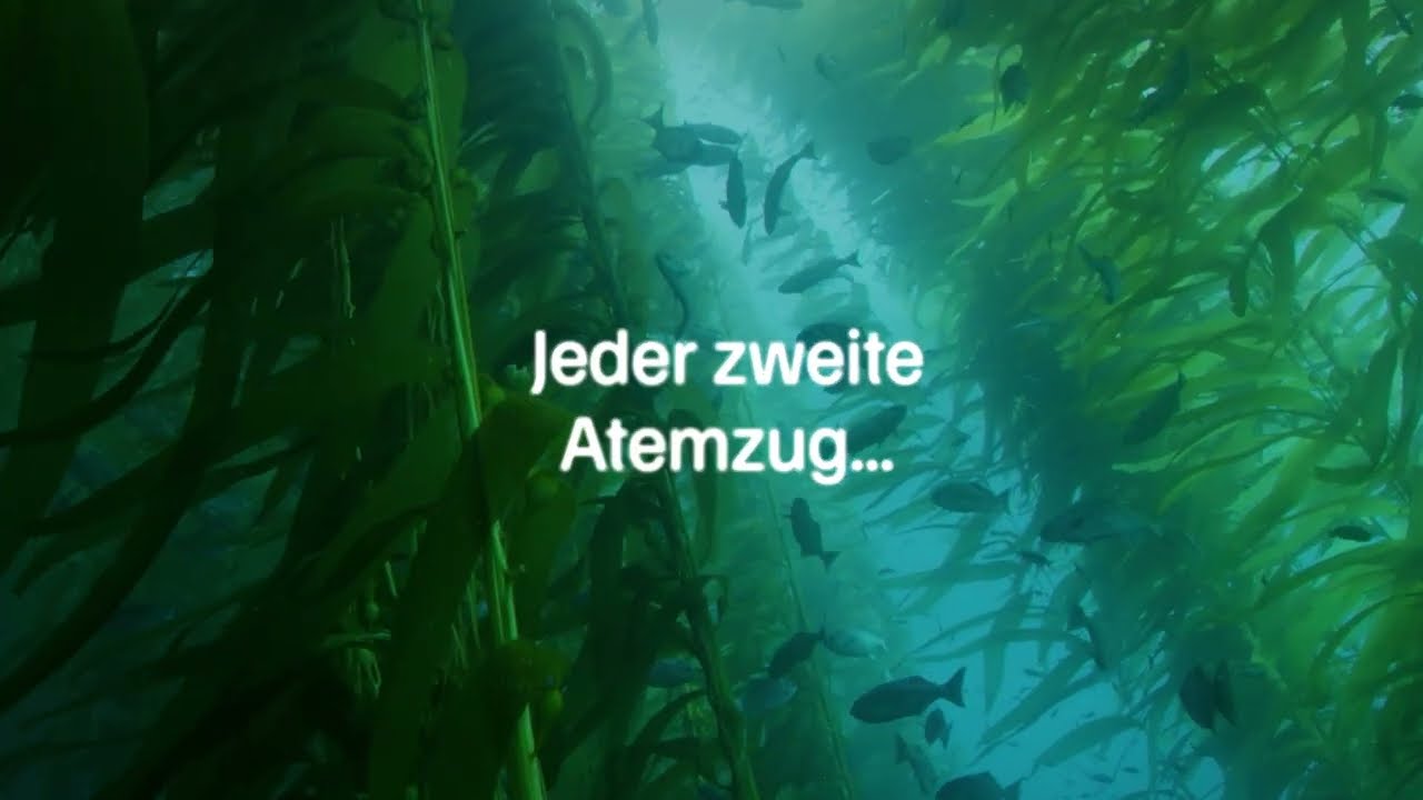 Nachhaltige Fischerei: Auswirkungen des Fischfangs auf das Meeresökosystem reduzieren 🪸