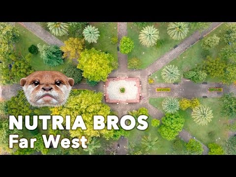 LOS CERRILLOS, CANELONES, URUGUAY - (Far West)