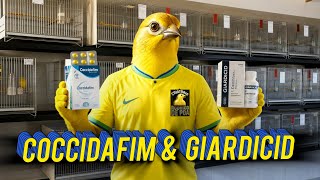 Manejo COCCIDAFIM e GIARDICID 