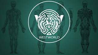 Ramin Djawadi - Paint It Black (Westworld Season 2 Soundtrack)