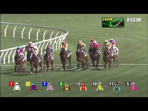 18/5/2022 (677) Oversubscribed - A Badel