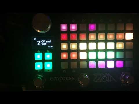 Empress ZOIA firmware exploration:  "Some neat features of 1.13 and how they might be used."