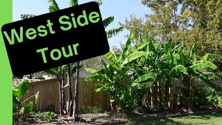 West Side Tropical Garden Tour: A Last Look Before Helene Hits