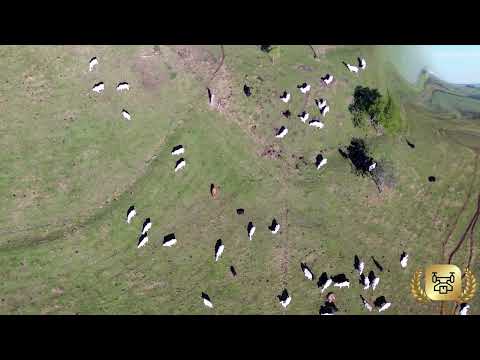 UM BREVE VOO ZONA RURAL NAS PROXIMIDADES DE JAÚ SP