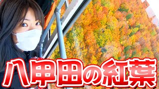 田中なつきと八甲田山の紅葉見に行こうよ2020秋