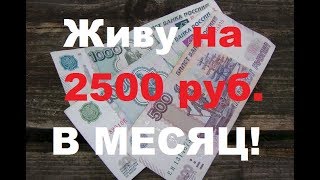 Как прожить на 2500 рублей в месяц - видео онлайн