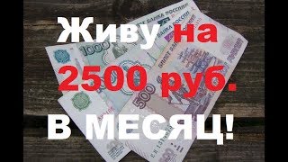 Смотреть онлайн Как прожить на 2500 рублей в месяц