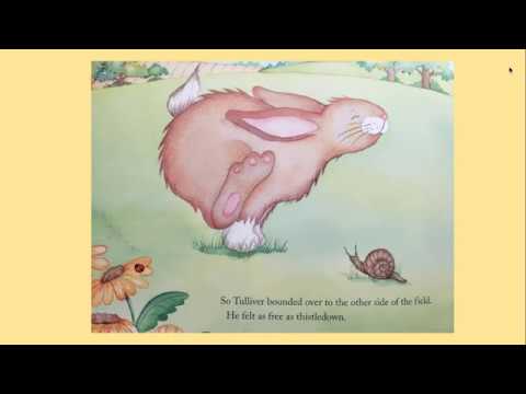 Reading: Tulliver's Tunnel