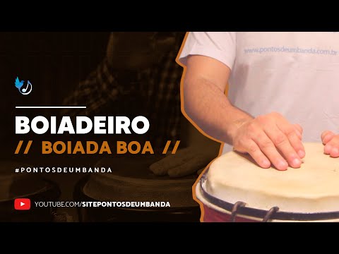 Capa do vídeo: Boiada boa