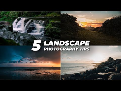 Capturing the Golden Hour: Landscape Photography Tips